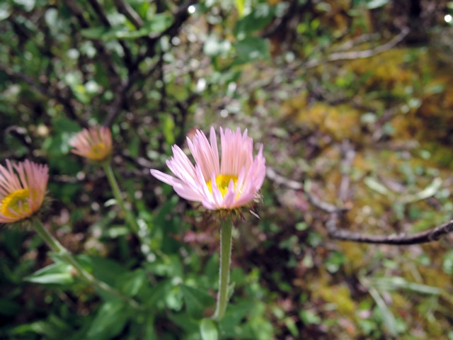f0373905_1341498.jpg