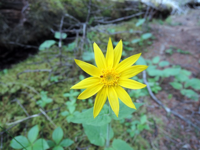 f0373905_13501966.jpg