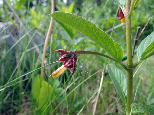 f0373905_13525091.jpg