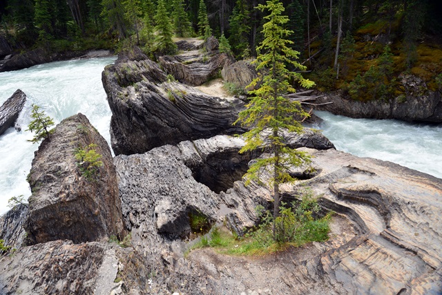 f0373905_14115020.jpg