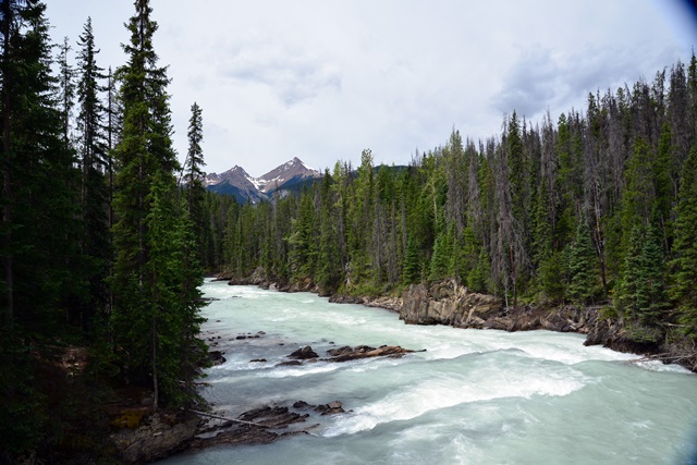 f0373905_1412663.jpg