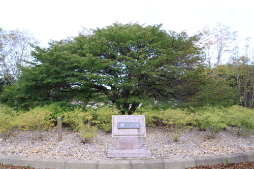 b0292308_14584597.jpg