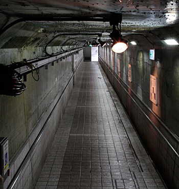 a0278809_11422666.jpg