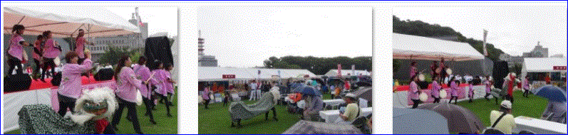 f0231709_201532100.gif