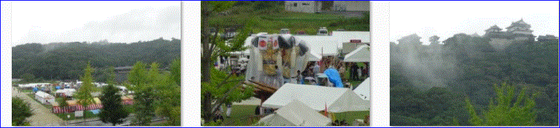 f0231709_2021421.gif