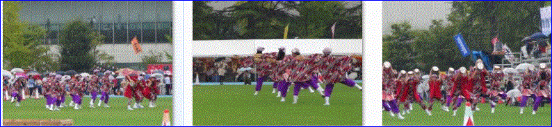 f0231709_20275268.gif