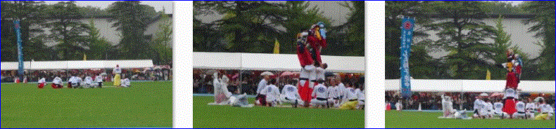 f0231709_20321767.gif