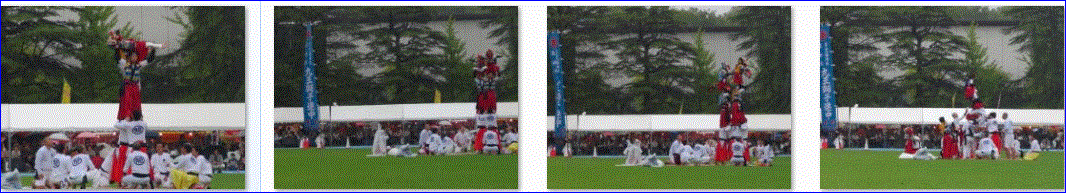 f0231709_20325143.gif