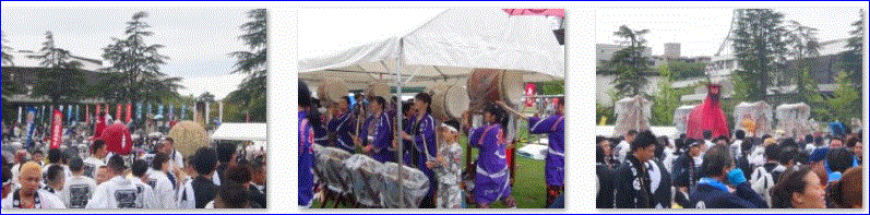 f0231709_211684.gif