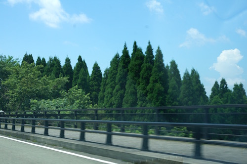 d0341811_13445111.jpg