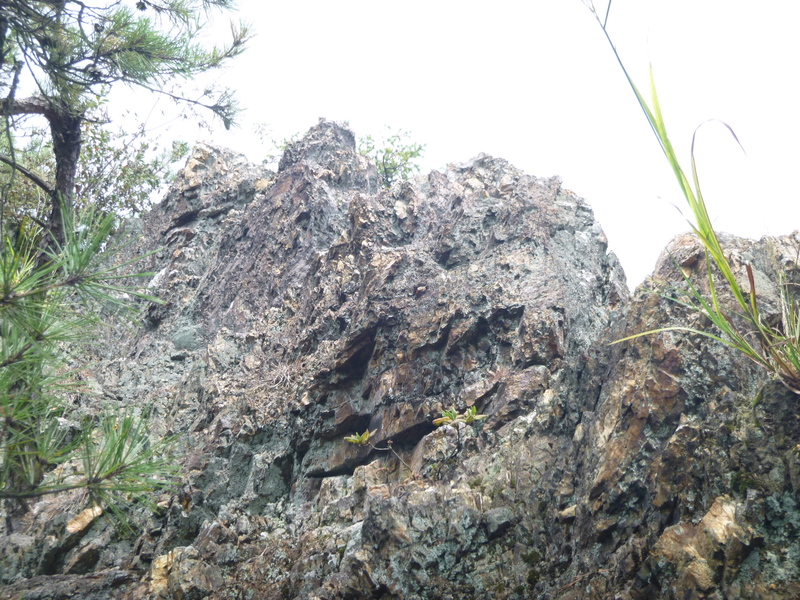 ちょっとした岩がある　八木山  (296M)  登頂 編_d0170615_116734.jpg