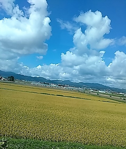 f0354923_00484277.jpg