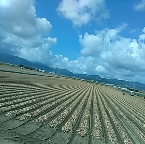 f0354923_00521803.jpg