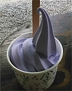 f0354923_01102181.jpg