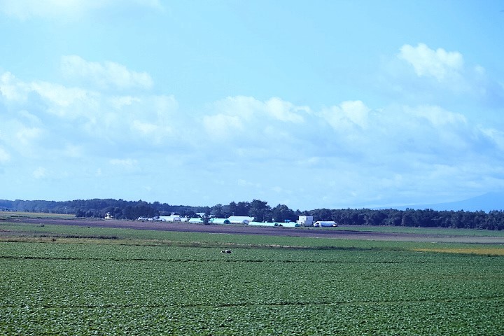 f0354923_18550059.jpg