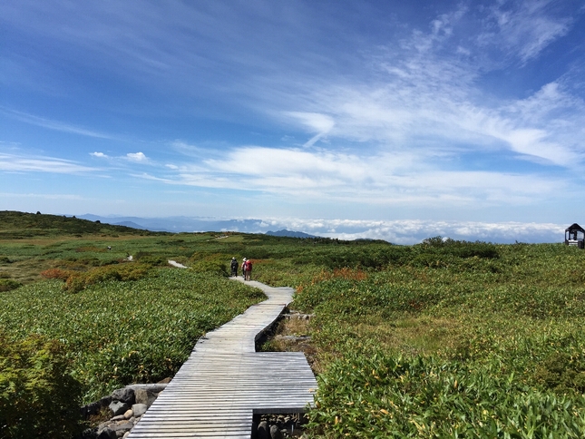 白山登山（御前峰～砂防ルート）_c0113733_22545839.jpg