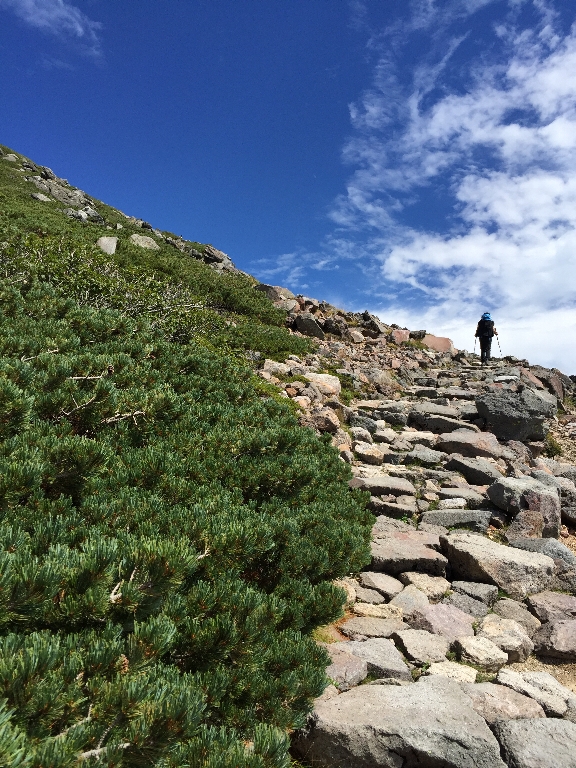 白山登山(御前峰~砂防ルート)_c0113733_22573418.jpg