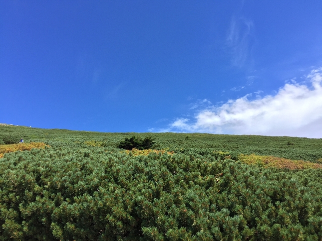 白山登山（御前峰～砂防ルート）_c0113733_2301111.jpg