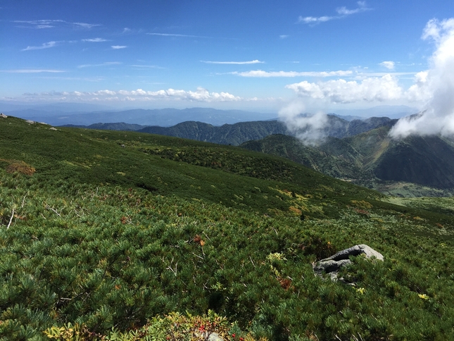 白山登山(御前峰~砂防ルート)_c0113733_2302157.jpg