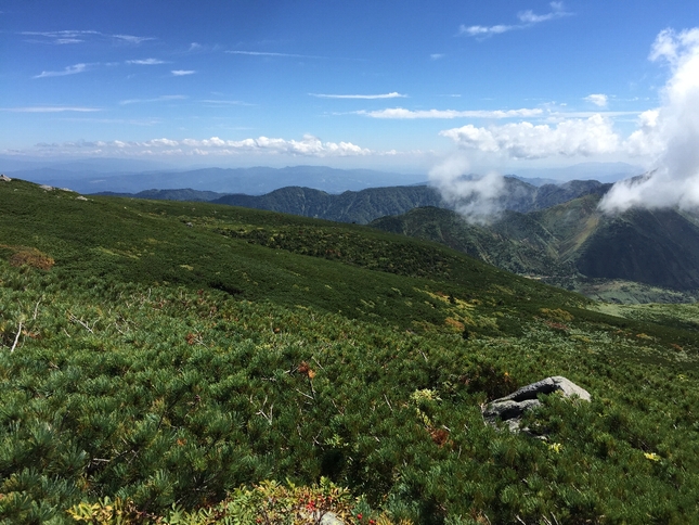 白山登山（御前峰～砂防ルート）_c0113733_2302157.jpg