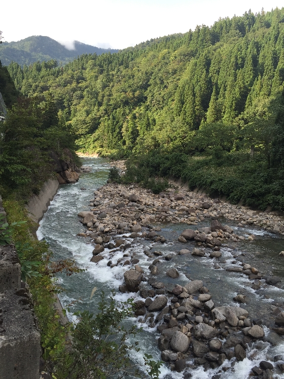 白山登山(御前峰~砂防ルート)_c0113733_2332934.jpg