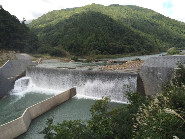 白山登山(御前峰~砂防ルート)_c0113733_2341052.jpg