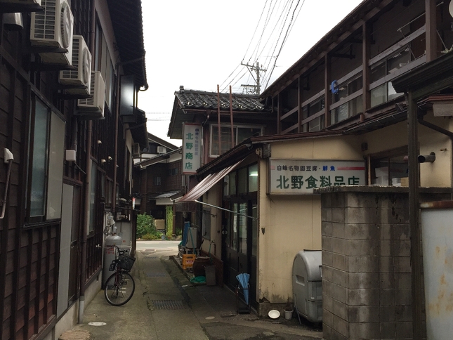 白山登山(御前峰~砂防ルート)_c0113733_2381160.jpg