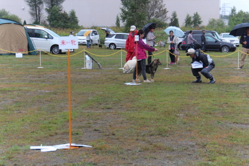 c0265837_21232721.jpg