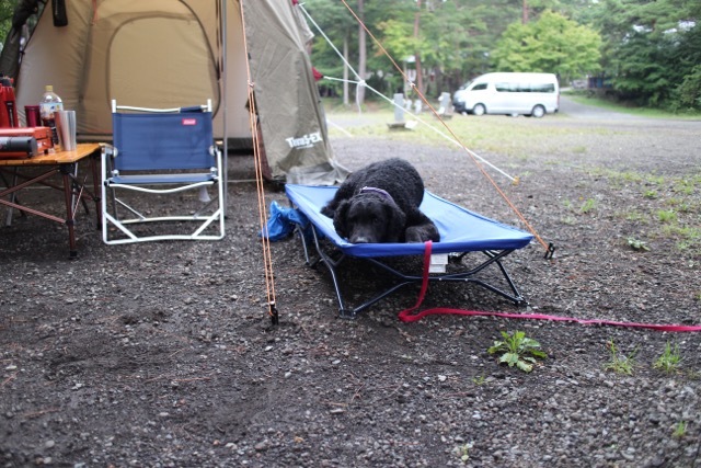 f0326141_13072272.jpeg