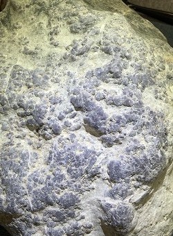 f0360642_00325777.jpg