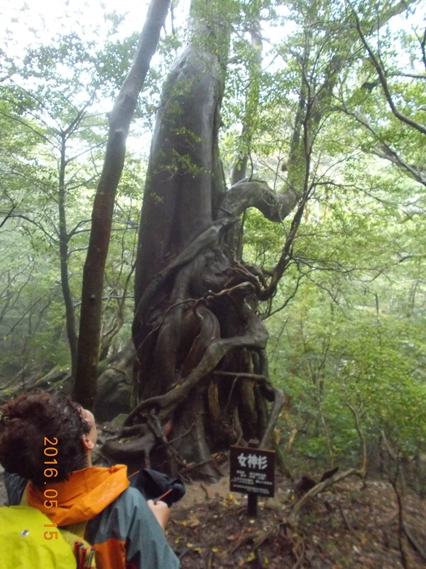 f0202445_00031489.jpg