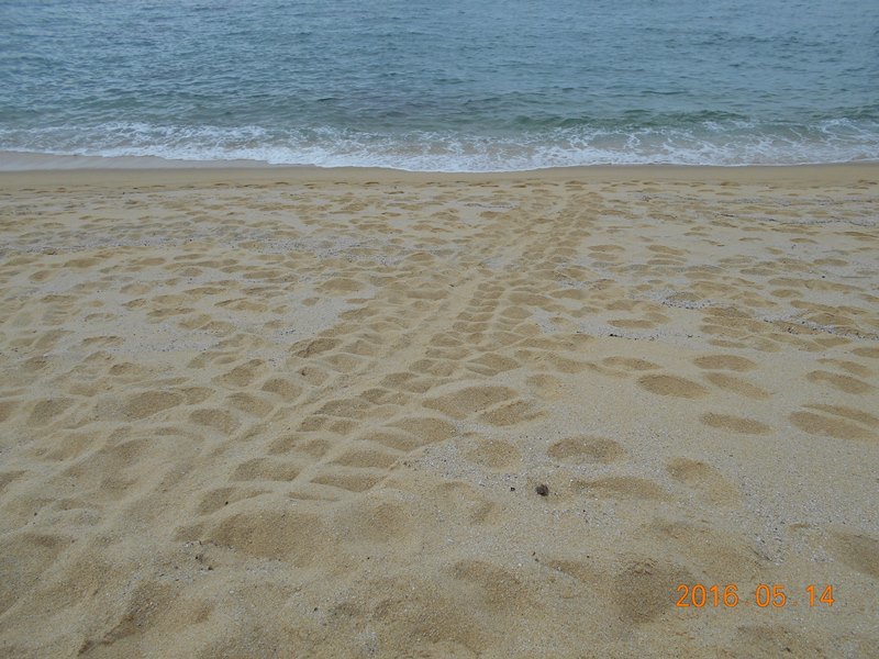 f0202445_11265893.jpg