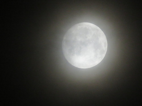 b0238249_20695.jpg