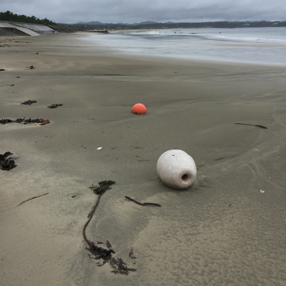 c0312349_17593510.jpeg