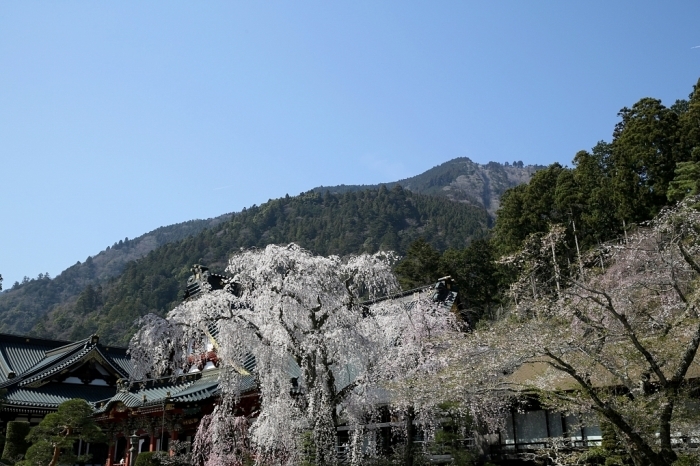 日蓮宗総本山・久遠寺＠身延山　2016.06.11(土)_f0344554_18550138.jpg