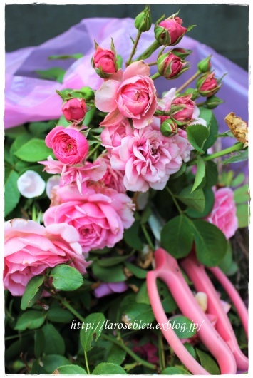 遅れ気味の夏剪定 La Rose 薔薇の庭