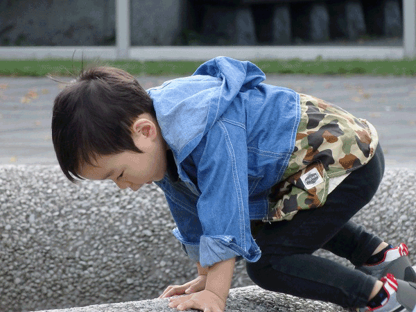 a0193457_2023020.gif