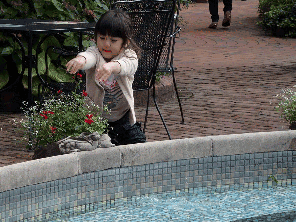 a0193457_20231.gif