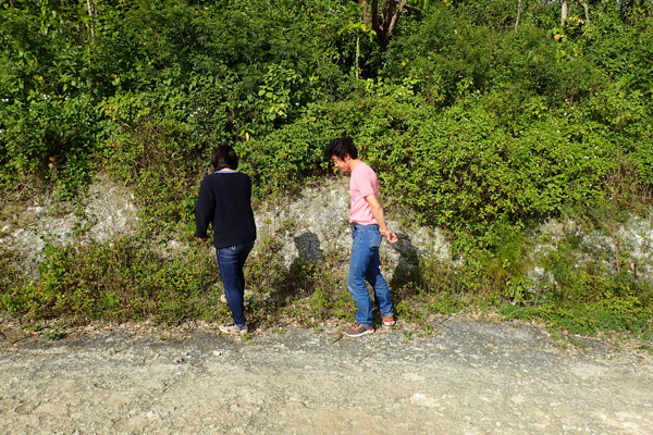喜界島調査〜蝶に超注意！〜_b0135657_12272154.jpg