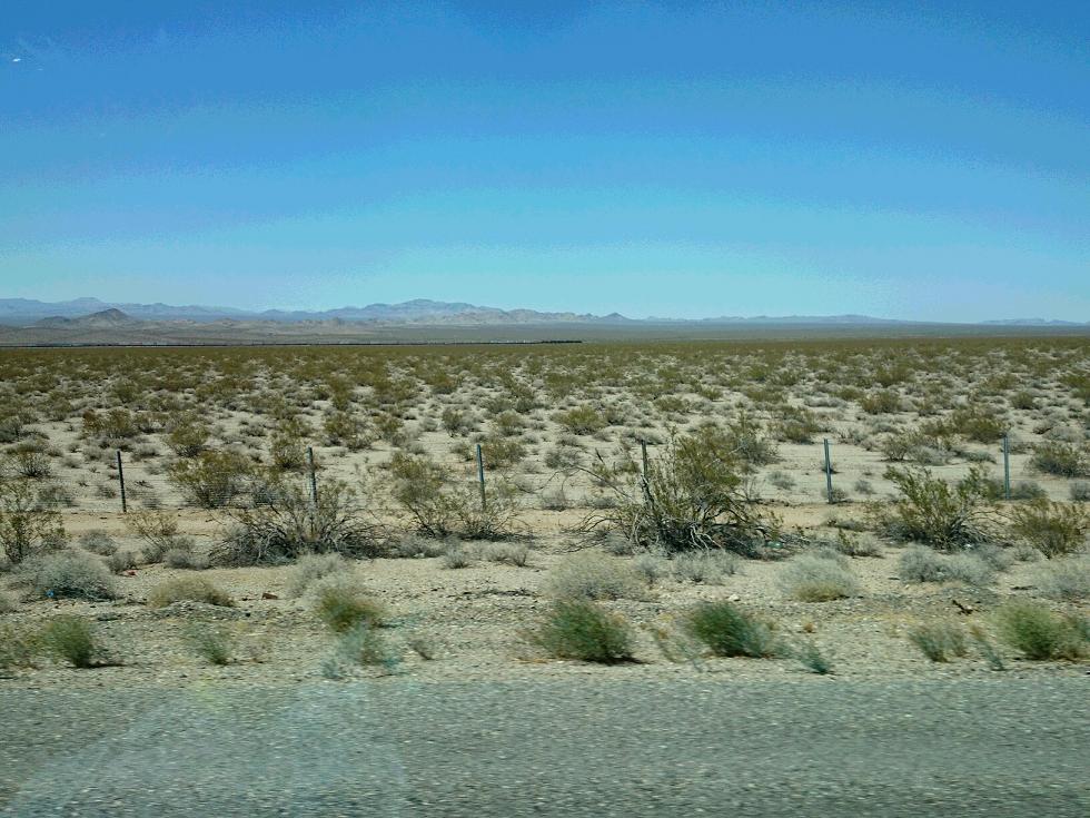 c0260463_1416137.jpg