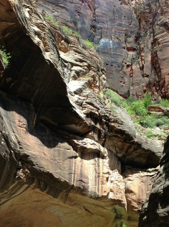 c0260463_1612492.jpg