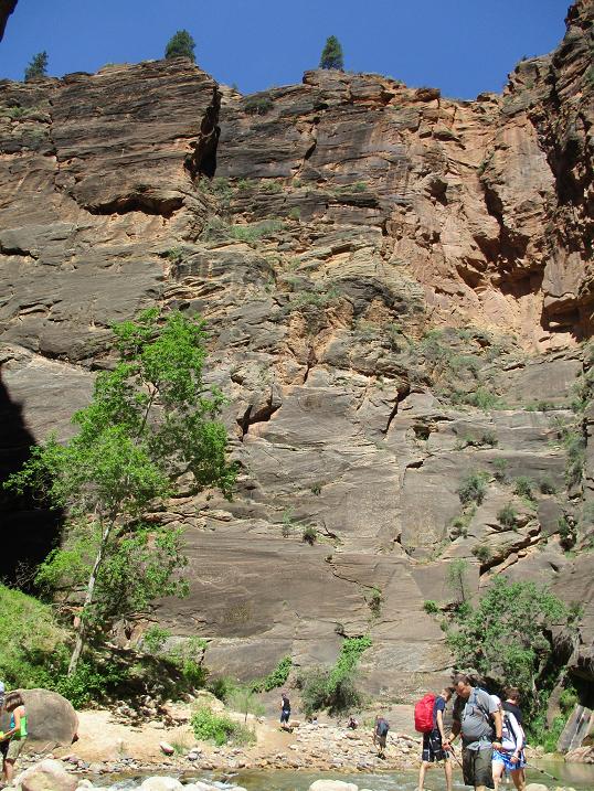 c0260463_1619395.jpg