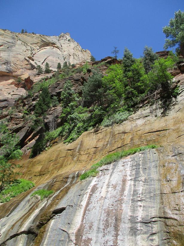 c0260463_1637012.jpg