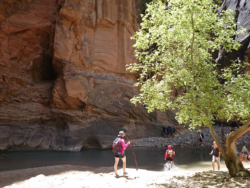 c0260463_1644993.jpg