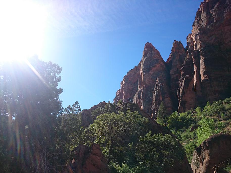 c0260463_1765479.jpg