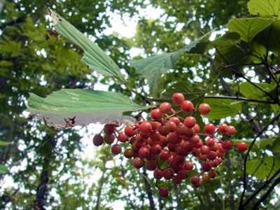 f0083977_16203215.jpg
