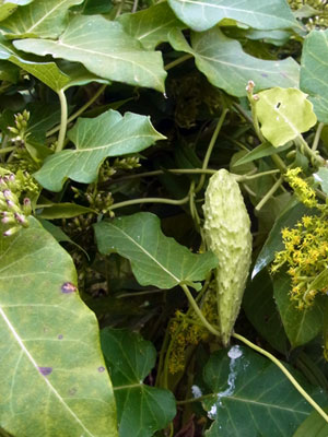 f0083977_16223058.jpg