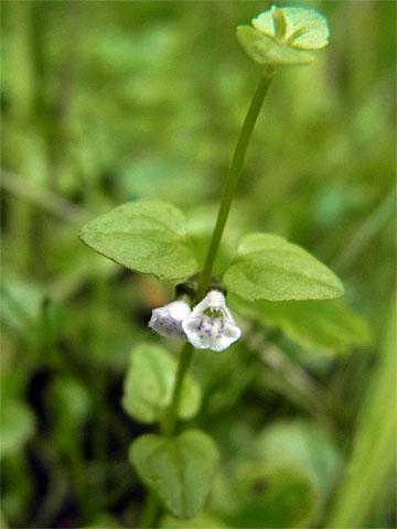 f0083977_162439.jpg