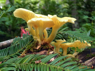 f0083977_16261348.jpg