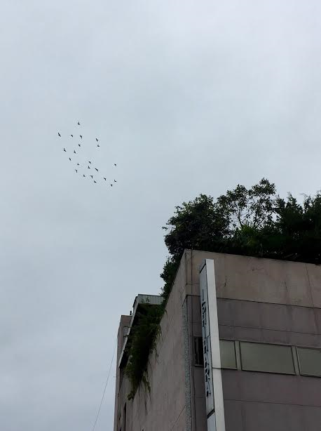 f0354880_13093738.png